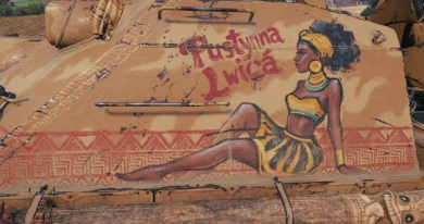 3D-стиль «Пустынная львица» для танка Wz.70 Żubr в 17 сезоне Боевого пропуска Мир танков 3D-стиль «Пустынная львица» для танка Wz.70 Żubr в 17 сезоне Боевого пропуска Мир танков