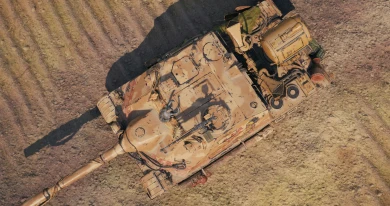 3D-стиль «Пустынная львица» для танка Wz.70 Żubr в 17 сезоне Боевого пропуска Мир танков 3D-стиль «Пустынная львица» для танка Wz.70 Żubr в 17 сезоне Боевого пропуска Мир танков