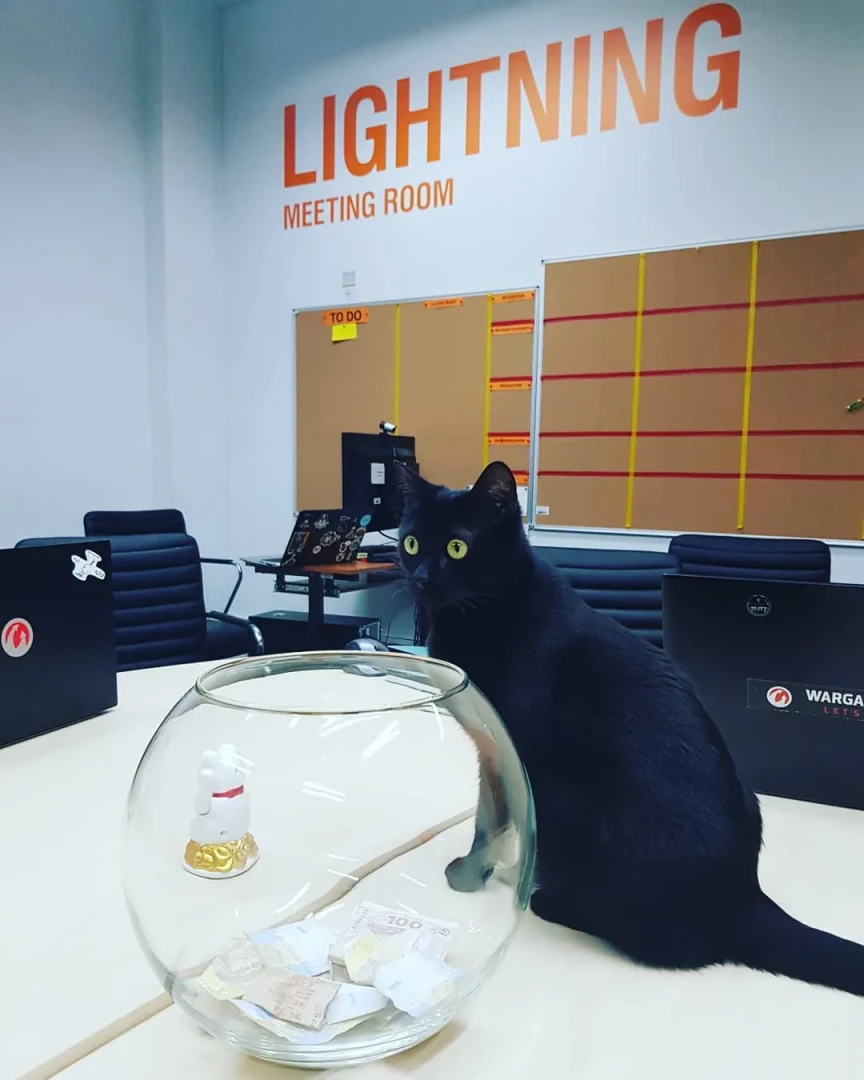 Компания Wargaming перевезла из Минска в Киев около 300 сотрудников — СМИ Компания Wargaming перевезла из Минска в Киев около 300 сотрудников — СМИ