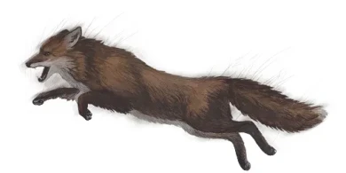 Марафон на CS-52 «Охота на ЛИС» в World of Tanks Марафон на CS-52 «Охота на ЛИС» в World of Tanks